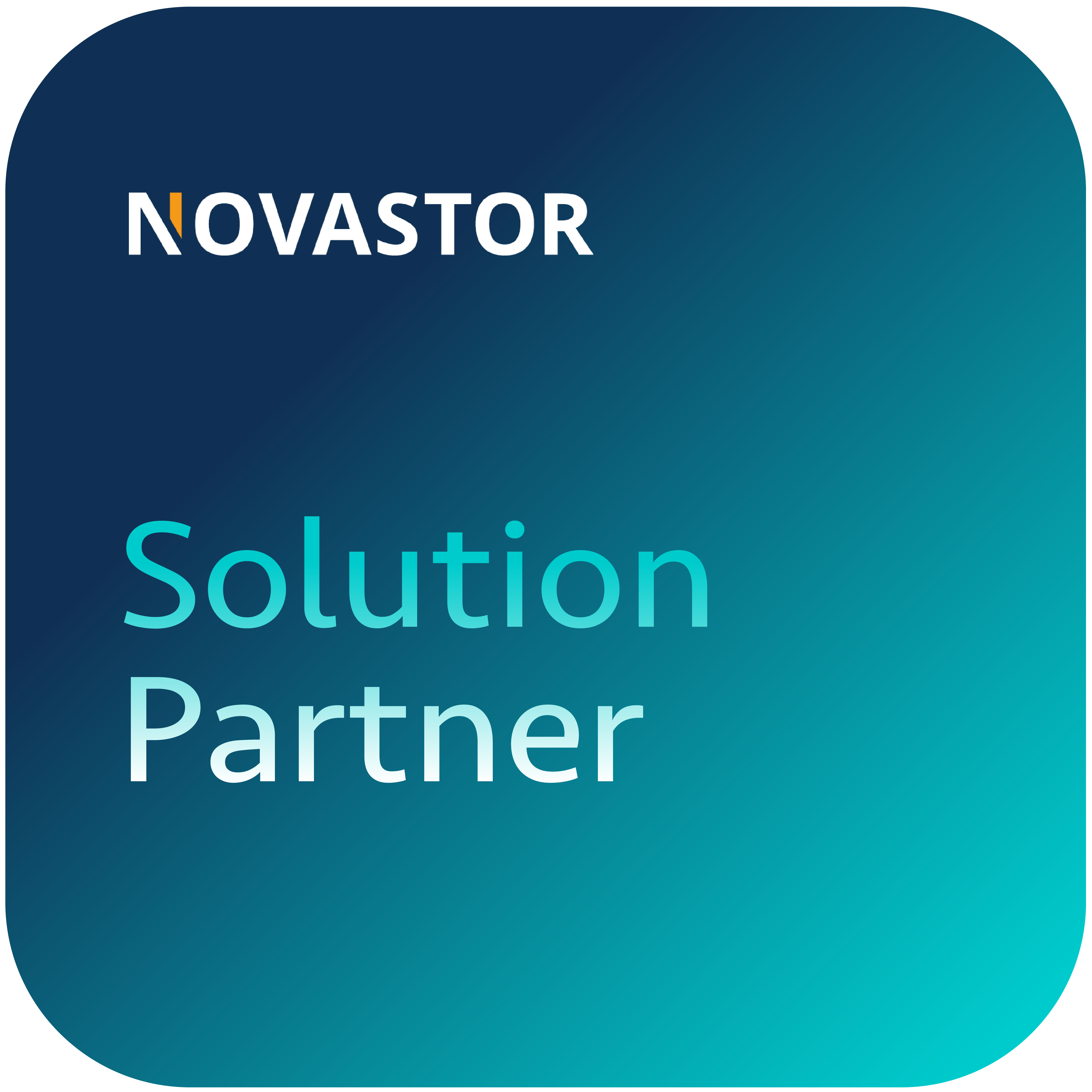 Logo NovaStor Solution Partner